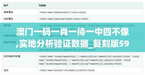 澳门一码一肖一待一中四不像,实地分析验证数据_复刻版59.309-7