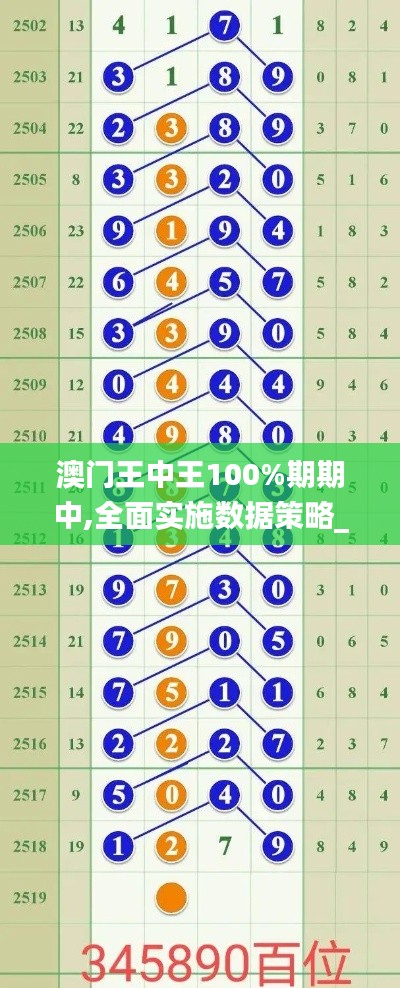 澳门王中王100%期期中,全面实施数据策略_Harmony16.413-9