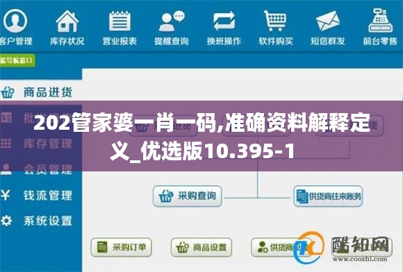 202管家婆一肖一码,准确资料解释定义_优选版10.395-1