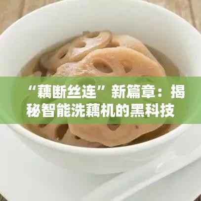 “藕断丝连”新篇章：揭秘智能洗藕机的黑科技