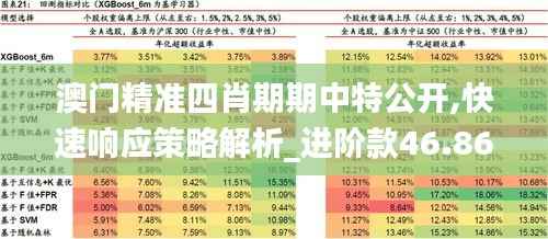 澳门精准四肖期期中特公开,快速响应策略解析_进阶款46.862-7