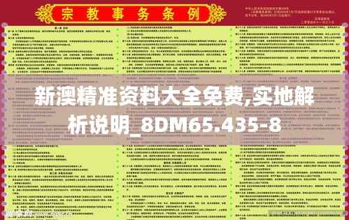 新澳精准资料大全免费,实地解析说明_8DM65.435-8