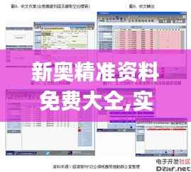新奥精准资料免费大仝,实地计划验证策略_微型版67.434-7
