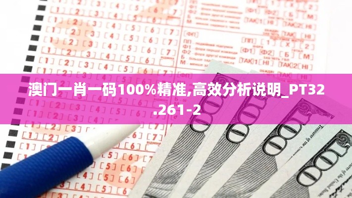澳门一肖一码100%精准,高效分析说明_PT32.261-2