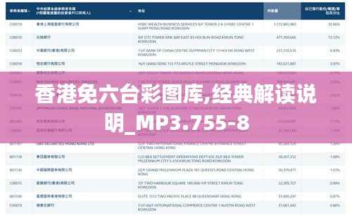 香港免六台彩图库,经典解读说明_MP3.755-8