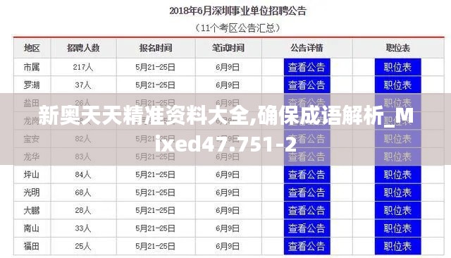 新奥天天精准资料大全,确保成语解析_Mixed47.751-2