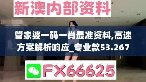管家婆一码一肖最准资料,高速方案解析响应_专业款53.267-1