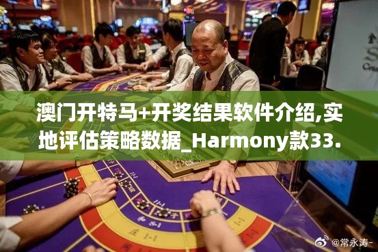 澳门开特马+开奖结果软件介绍,实地评估策略数据_Harmony款33.374-2