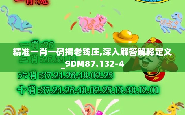 精准一肖一码揭老钱庄,深入解答解释定义_9DM87.132-4