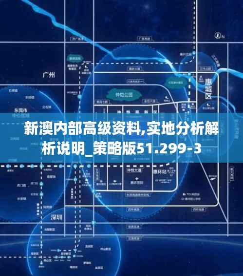 新澳内部高级资料,实地分析解析说明_策略版51.299-3