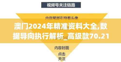 澳门2024年精准资料大全,数据导向执行解析_高级款70.213-6