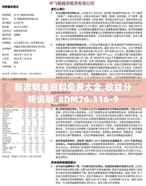 新澳精准资料免费大全,收益分析说明_8DM76.316-9