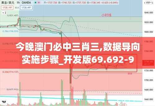今晚澳门必中三肖三,数据导向实施步骤_开发版69.692-9