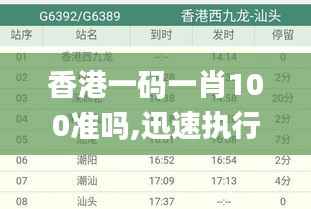 香港一码一肖100准吗,迅速执行计划设计_WP17.739-1