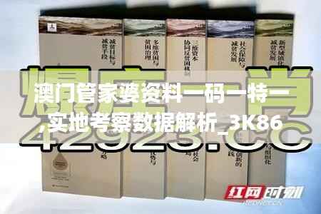 澳门管家婆资料一码一特一,实地考察数据解析_3K86.955-3