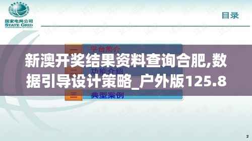 新澳开奖结果资料查询合肥,数据引导设计策略_户外版125.857-2