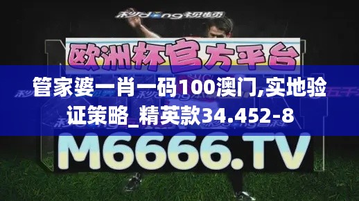 管家婆一肖一码100澳门,实地验证策略_精英款34.452-8
