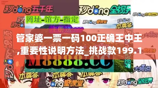 管家婆一票一码100正确王中王,重要性说明方法_挑战款199.112-8