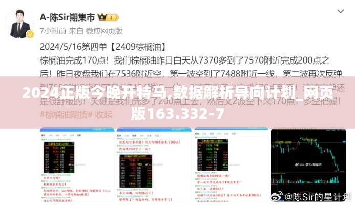 2024正版今晚开特马,数据解析导向计划_网页版163.332-7