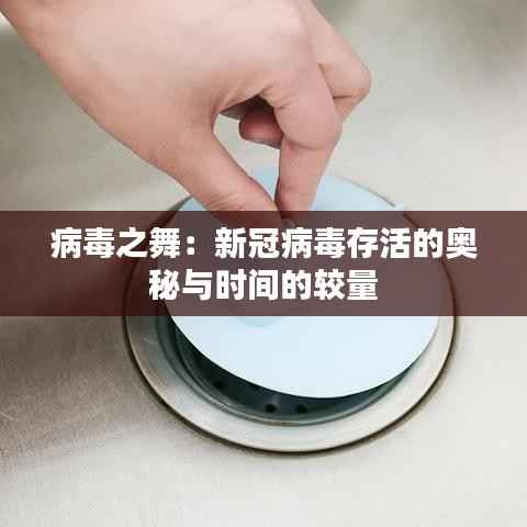 臼灶生蛙 第5页