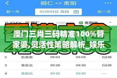 澳门三肖三码精准100%管家婆,灵活性策略解析_娱乐版82.707-8