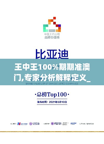 王中王100%期期准澳门,专家分析解释定义_视频版19.715-6