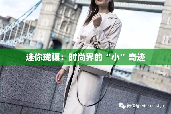 迷你珑骧：时尚界的“小”奇迹