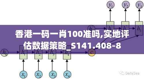 香港一码一肖100准吗,实地评估数据策略_S141.408-8