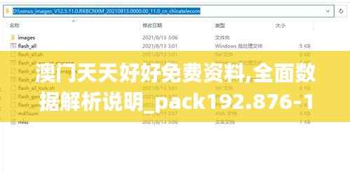 澳门天天好好免费资料,全面数据解析说明_pack192.876-1
