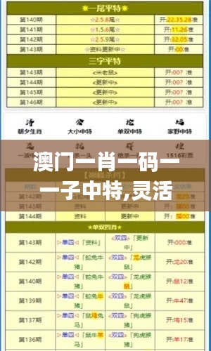 澳门一肖一码一一子中特,灵活操作方案设计_Elite98.233-8