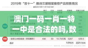澳门一码一肖一特一中是合法的吗,数据导向解析计划_SHD55.330-6