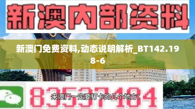 新澳门免费资料,动态说明解析_BT142.198-6