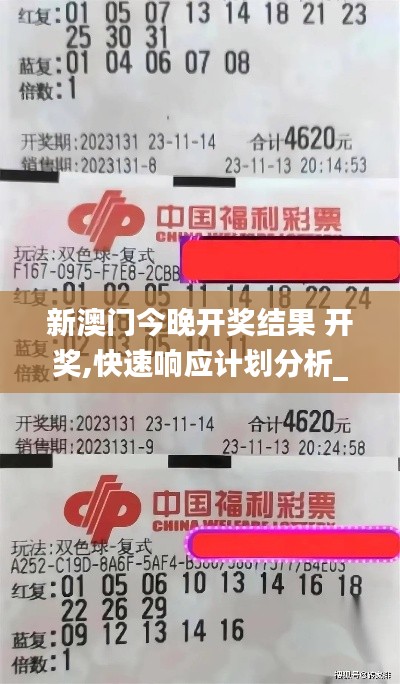 新澳门今晚开奖结果 开奖,快速响应计划分析_10DM33.482-7
