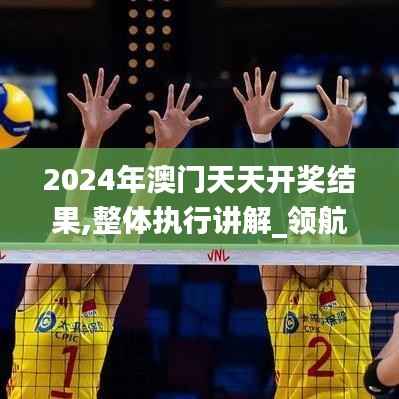 2024年澳门天天开奖结果,整体执行讲解_领航版74.463-9