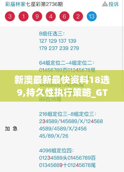 新澳最新最快资料18选9,持久性执行策略_GT36.530-4