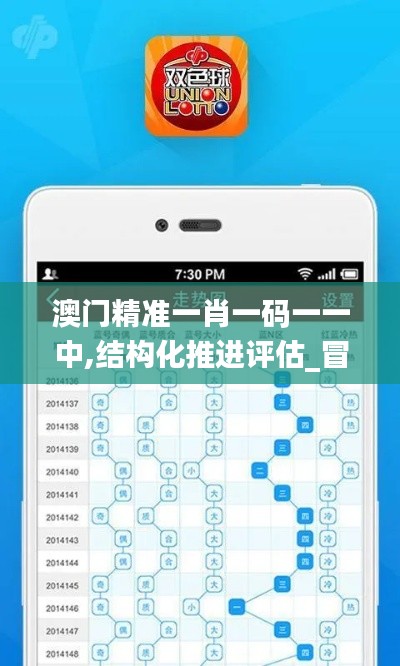 澳门精准一肖一码一一中,结构化推进评估_冒险版97.638-2