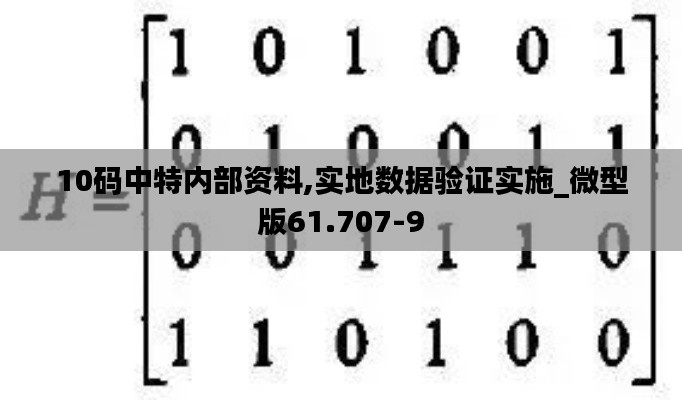 10码中特内部资料,实地数据验证实施_微型版61.707-9