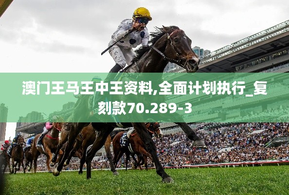 澳门王马王中王资料,全面计划执行_复刻款70.289-3