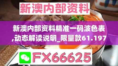 新澳内部资料精准一码波色表,动态解读说明_限量款61.197-9