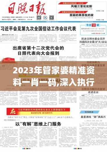 2023年管家婆精准资料一肖一码,深入执行数据策略_铂金版12.891-9