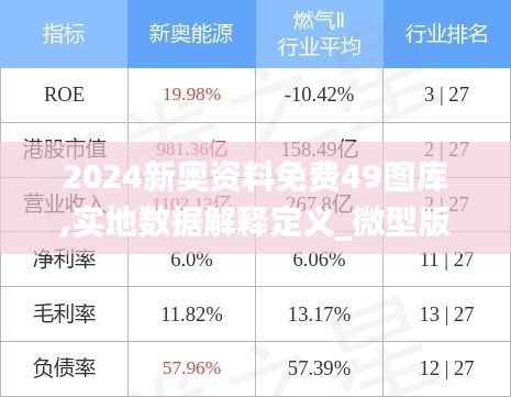 2024新奥资料免费49图库,实地数据解释定义_微型版11.510-2