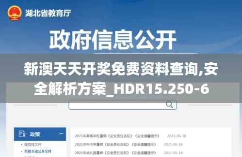 新澳天天开奖免费资料查询,安全解析方案_HDR15.250-6
