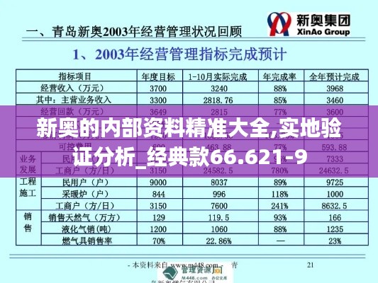 新奥的内部资料精准大全,实地验证分析_经典款66.621-9