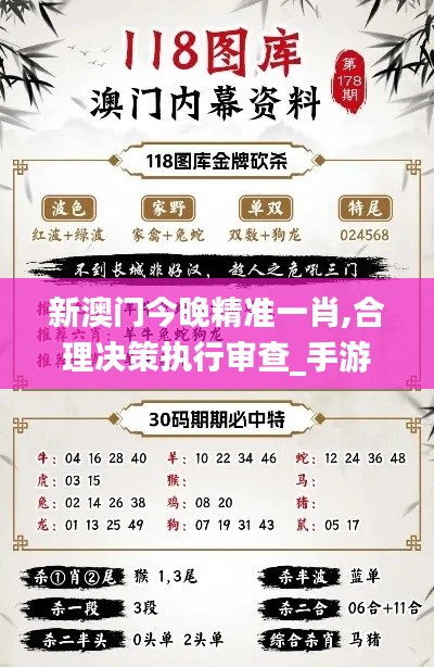新澳门今晚精准一肖,合理决策执行审查_手游版87.214-2