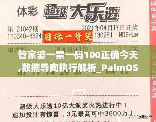 管家婆一票一码100正确今天,数据导向执行解析_PalmOS68.920-1