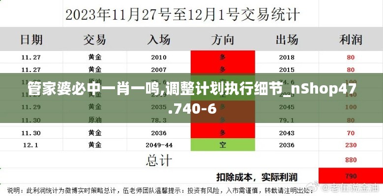 管家婆必中一肖一鸣,调整计划执行细节_nShop47.740-6