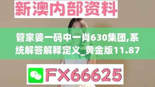 管家婆一码中一肖630集团,系统解答解释定义_黄金版11.873-8