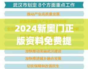 2024新奥门正版资料免费提拱,数据支持执行策略_理财版79.453-3