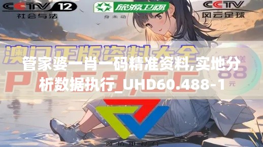 管家婆一肖一码精准资料,实地分析数据执行_UHD60.488-1