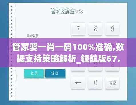 管家婆一肖一码100%准确,数据支持策略解析_领航版67.825-8
